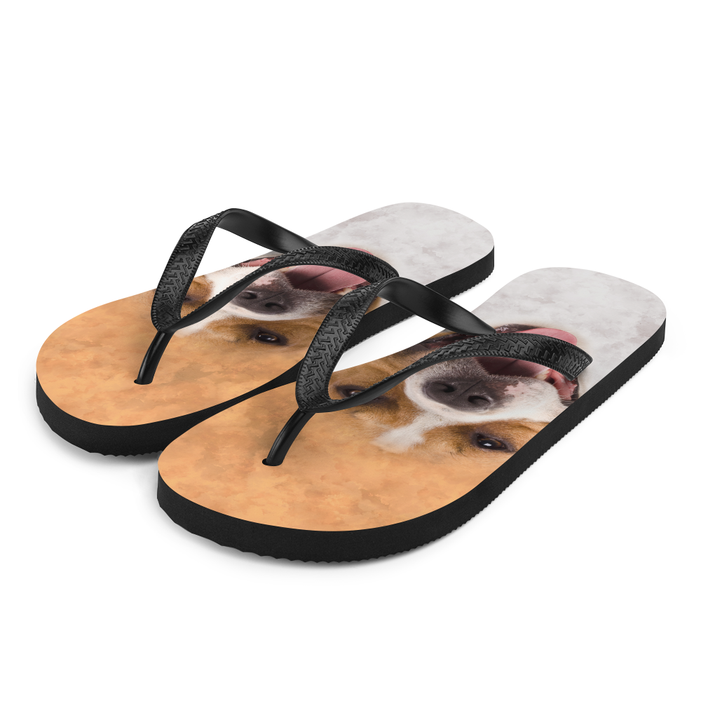 S Pit Bull Dog Flip-Flops by Design Express