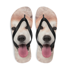 Akita Dog Flip-Flops by Design Express