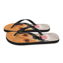 Beagle Dog Flip-Flops by Design Express