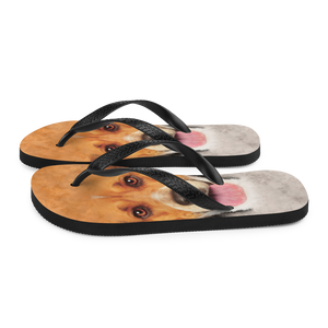 Beagle Dog Flip-Flops by Design Express