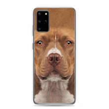 Samsung Galaxy S20 Plus Staffordshire Bull Terrier Dog Samsung Case by Design Express