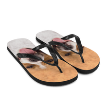 Pit Bull Dog Flip-Flops by Design Express