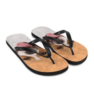 Pit Bull Dog Flip-Flops by Design Express