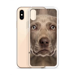 Weimaraner Dog iPhone Case by Design Express