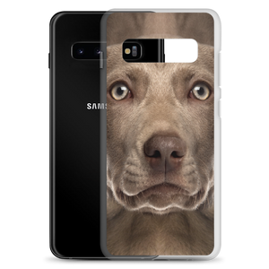 Weimaraner Dog Samsung Case by Design Express