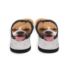 Pit Bull Dog Flip-Flops by Design Express