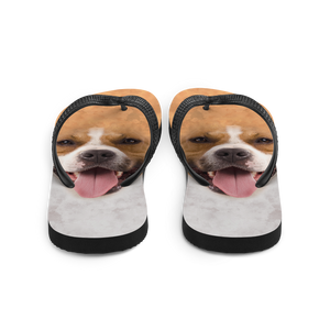 Pit Bull Dog Flip-Flops by Design Express