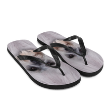 Schnauzer Dog Flip-Flops by Design Express