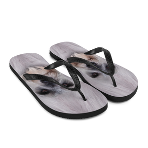 Schnauzer Dog Flip-Flops by Design Express