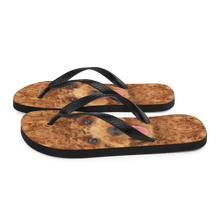 Poodle Dog Flip-Flops by Design Express