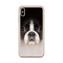 Boston Terrier Dog iPhone Case by Design Express