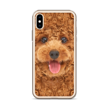 Poodle Dog iPhone Case by Design Express