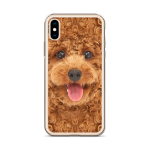 Poodle Dog iPhone Case by Design Express