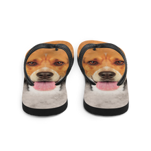 Beagle Dog Flip-Flops by Design Express