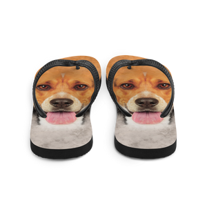 Beagle Dog Flip-Flops by Design Express