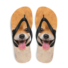 Pomeranian Dog Flip-Flops by Design Express