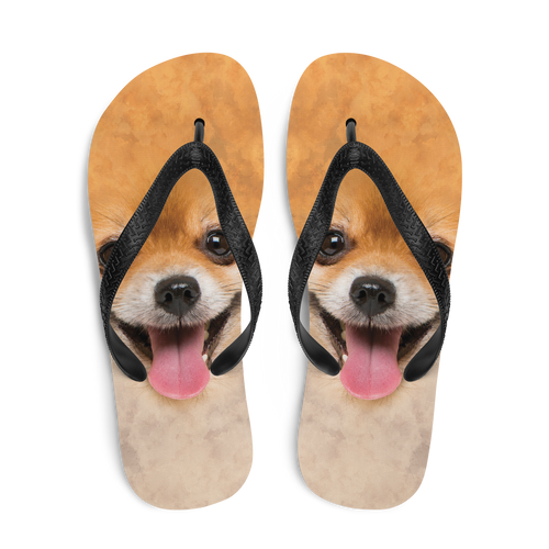 Pomeranian Dog Flip-Flops by Design Express