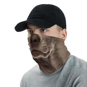 Weimaraner Dog Neck Gaiter Masks by Design Express