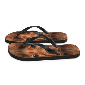 Cocker Spaniel Dog Flip-Flops by Design Express