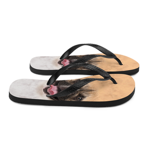 French Bulldog Flip-Flops by Design Express