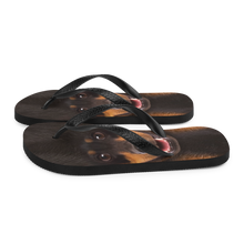 Dachshund Dog Flip-Flops by Design Express