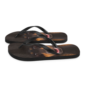 Dachshund Dog Flip-Flops by Design Express