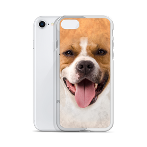 Pit Bull Dog iPhone Case by Design Express