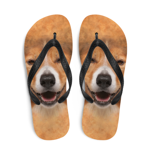 Border Collie Dog Flip-Flops by Design Express