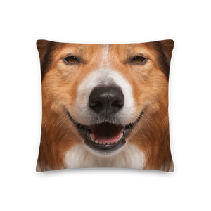 Border Collie Dog Premium Pillow by Design Express