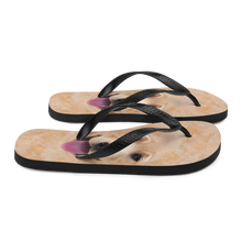 Yellow Labrador Dog Flip-Flops by Design Express