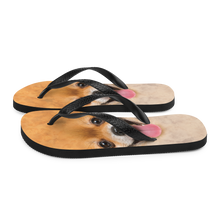 Pomeranian Dog Flip-Flops by Design Express