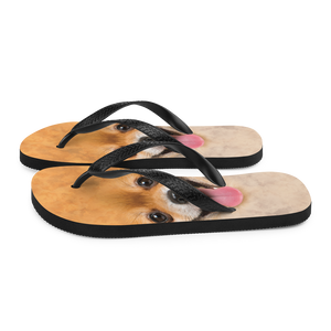 Pomeranian Dog Flip-Flops by Design Express