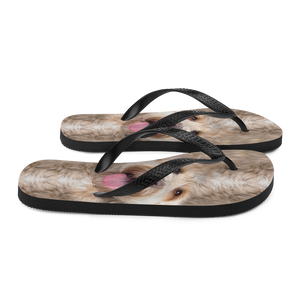 Labradoodle Dog Flip-Flops by Design Express