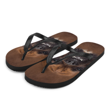 S Boxer Dog Flip-Flops by Design Express