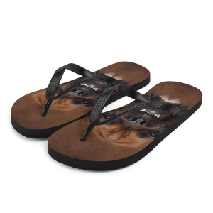 S Boxer Dog Flip-Flops by Design Express