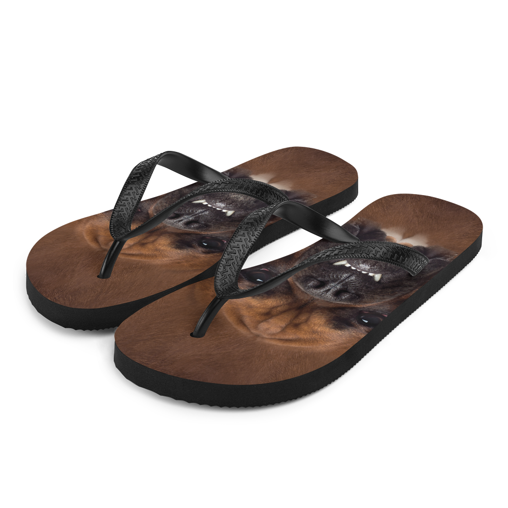 S Boxer Dog Flip-Flops by Design Express