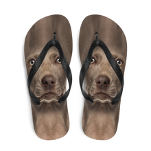 Weimaraner Dog Flip-Flops by Design Express