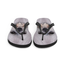 Schnauzer Dog Flip-Flops by Design Express