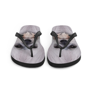 Schnauzer Dog Flip-Flops by Design Express