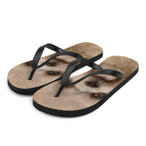 S Shih Tzu Dog Flip-Flops by Design Express