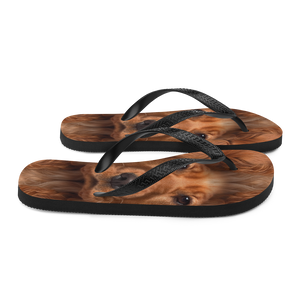 Cocker Spaniel Dog Flip-Flops by Design Express