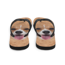 Corgi Dog Flip-Flops by Design Express