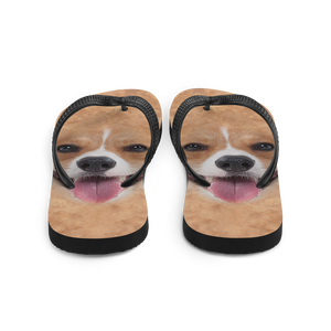 Corgi Dog Flip-Flops by Design Express