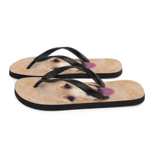 Yellow Labrador Dog Flip-Flops by Design Express