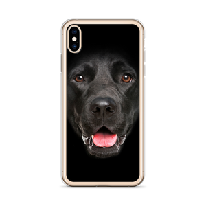 Labrador Dog iPhone Case by Design Express