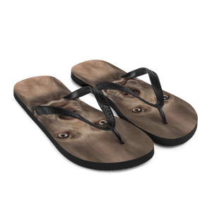 Weimaraner Dog Flip-Flops by Design Express