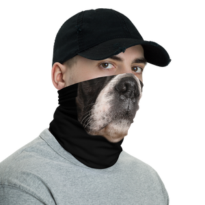 English Springer Spaniel Dog Neck Gaiter Masks by Design Express