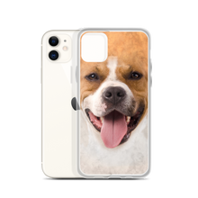 Pit Bull Dog iPhone Case by Design Express