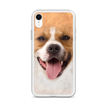 Pit Bull Dog iPhone Case by Design Express