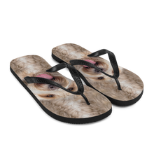 Labradoodle Dog Flip-Flops by Design Express